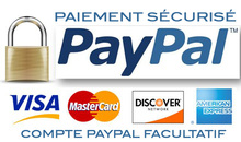 Bouton-Paiement-par-paypal-secure.jpg